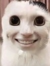 Danielcg